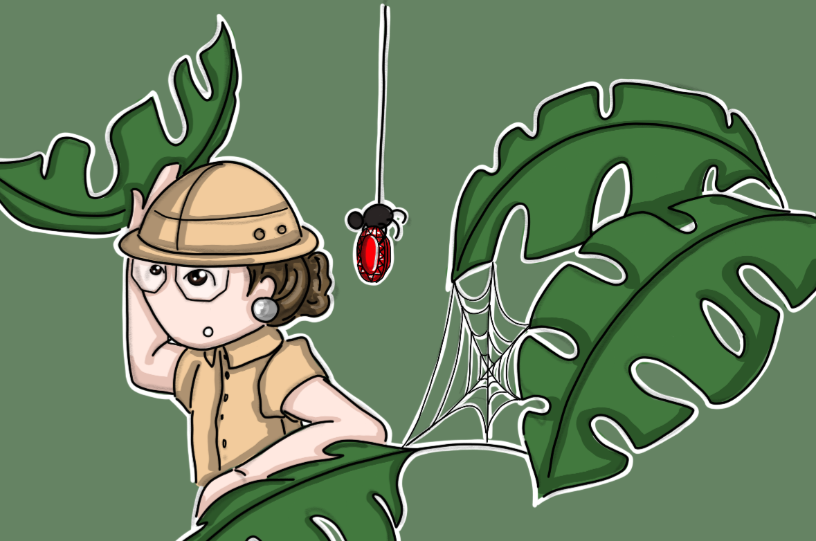 Hauptgruppen – oder: Der kleine Guide durch den Edelstein Dschungel